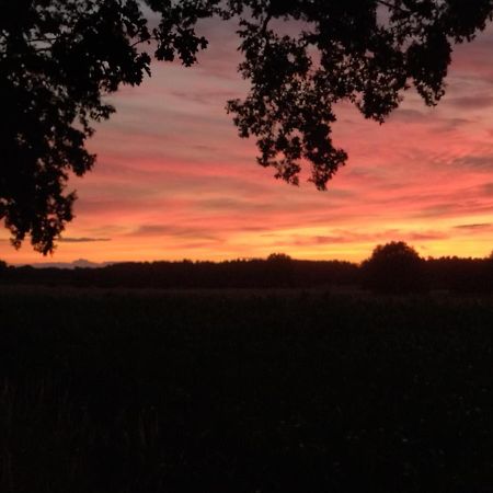 Ferienwohnung Bittner Klitten Bagian luar foto