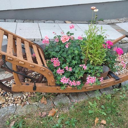 Ferienwohnung Bittner Klitten Bagian luar foto