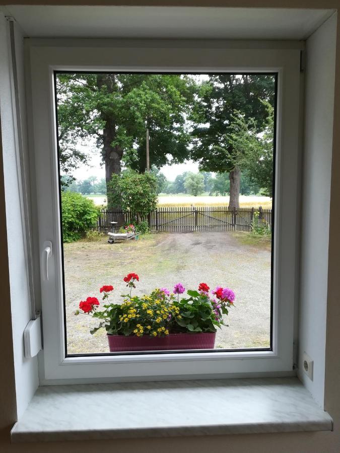 Ferienwohnung Bittner Klitten Bagian luar foto